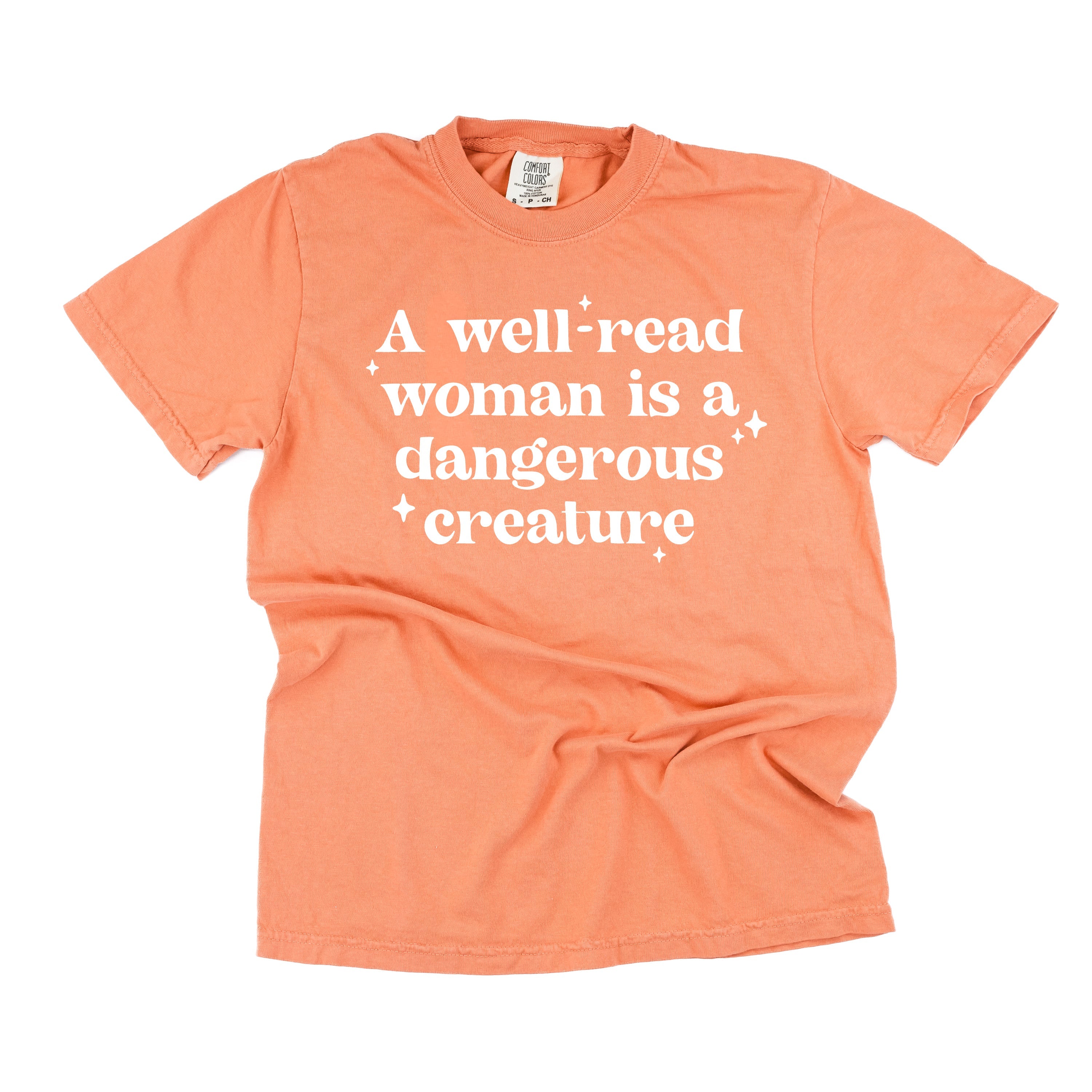 A Well-Read Woman Is A Dangerous Creature - Comfort Colors Tee Little Mama Shirt Shop